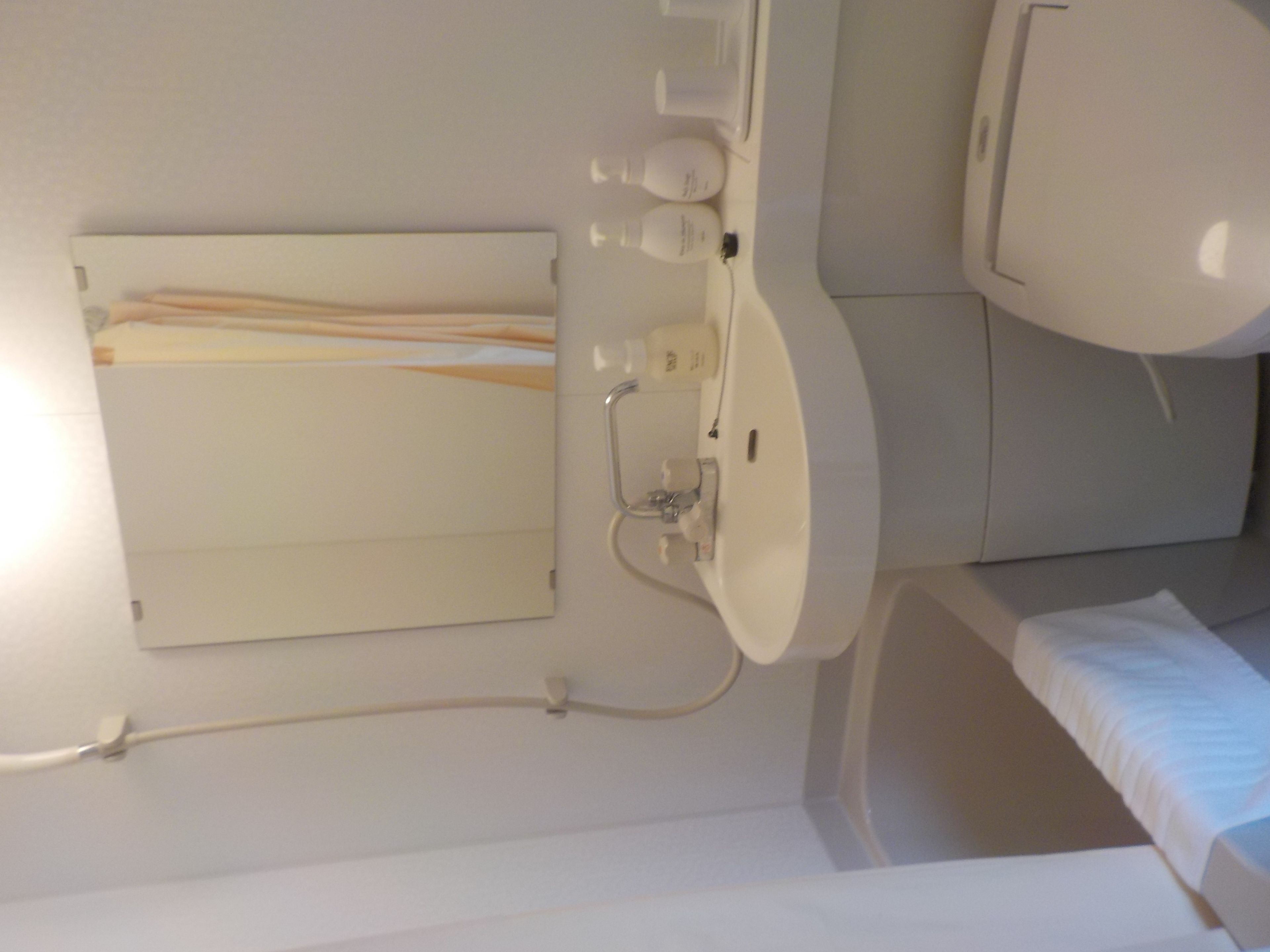 combined shower/bathtub, free toiletries, hair dryer, slippers