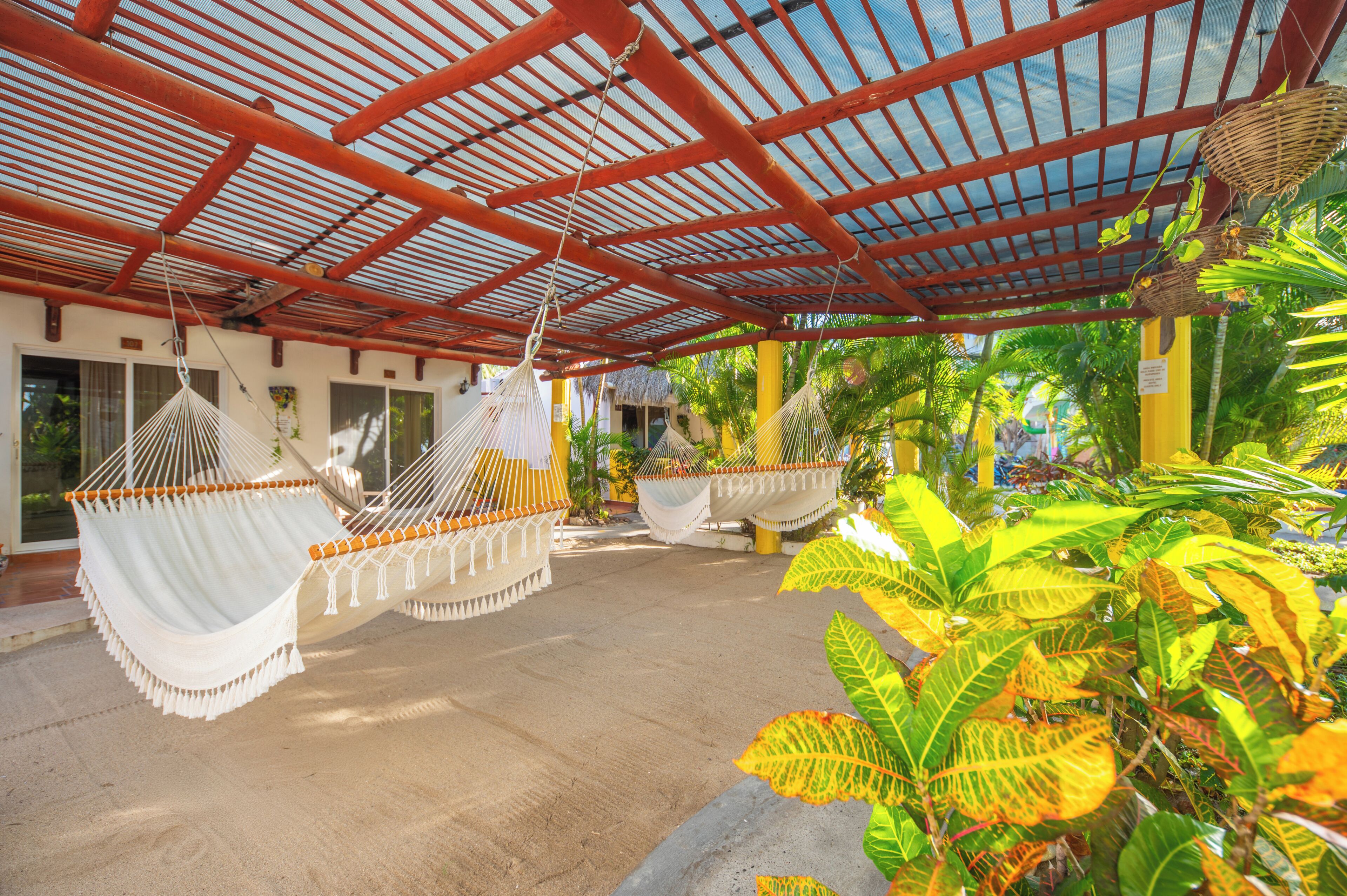 A covered outdoor area with hammocks, tropical plants, and a concrete floor.