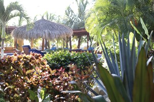 32-英寸等离子电视 （配备卫星频道）、电视