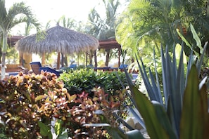 32-inch plasma TV with satellite channels, TV - Hotel Meson de Mita (Punta de Mita)