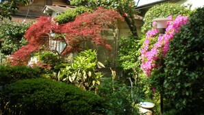 花園
