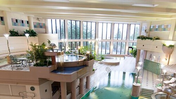 Un espace piscine intérieure aménagé sur plusieurs niveaux, avec des coins salon et des plantes en pot.