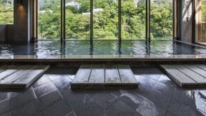 Ein moderner, überdachter Pool mit Blick auf üppiges Grün.