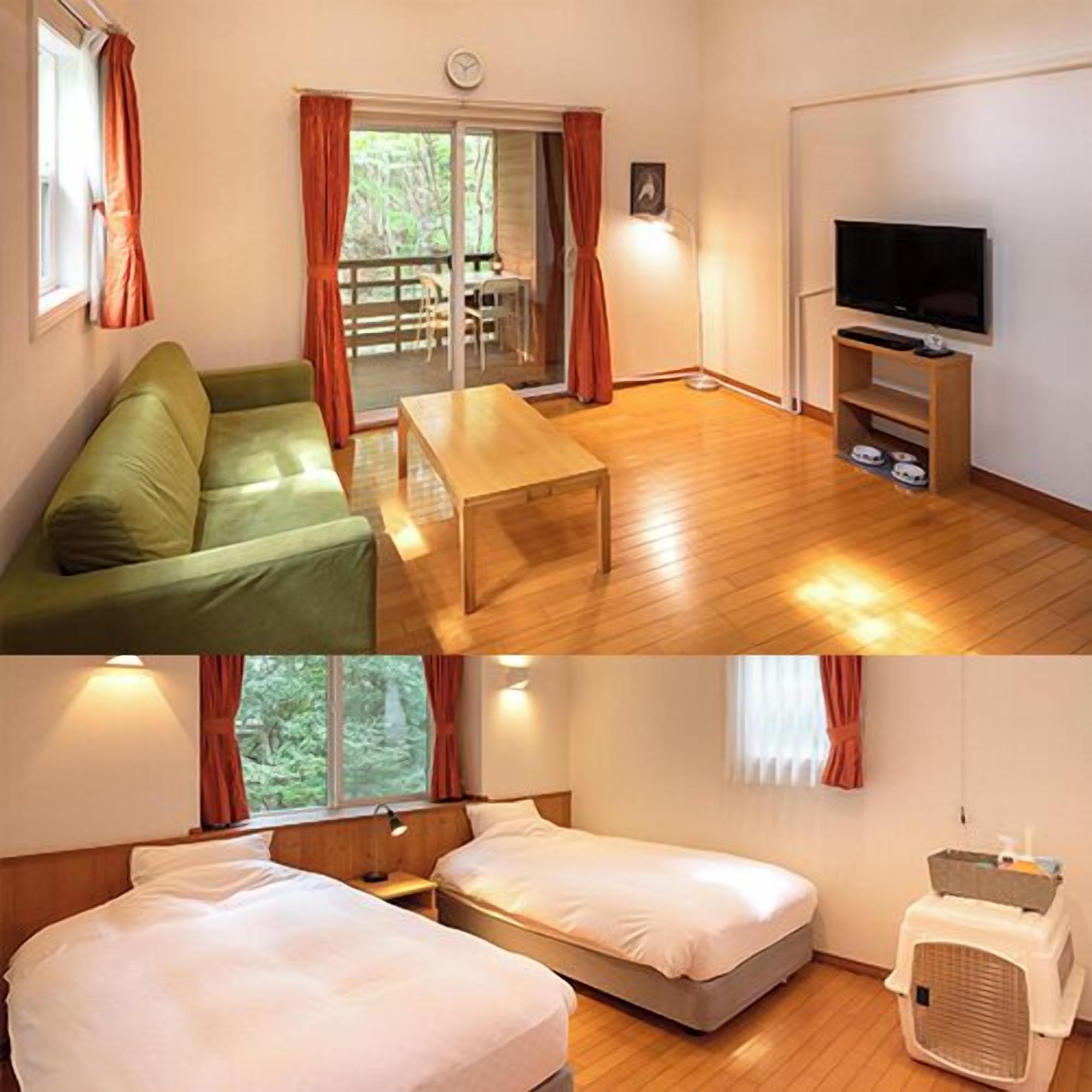 A room with a green sofa, a wooden coffee table, a TV stand with a flat-screen TV, and a pet carrier.