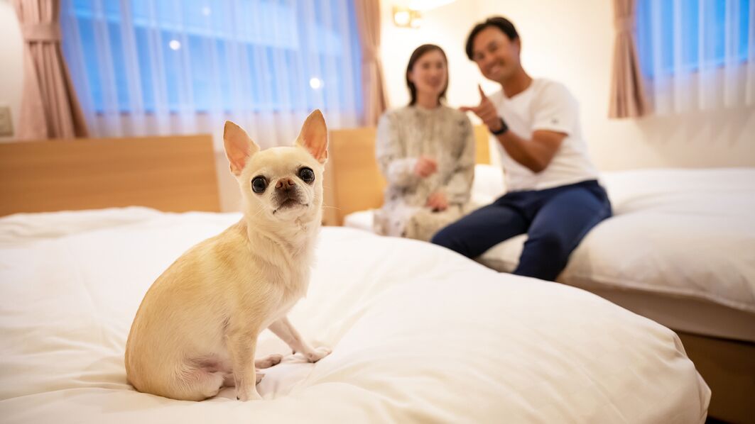 A bed with a dog sitting on it, a person sitting on the bed, and another person standing in the background.