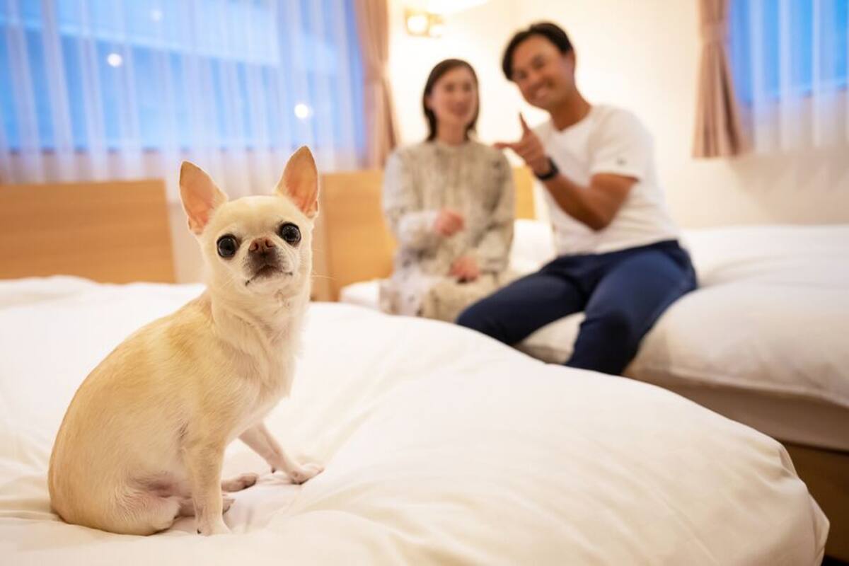 객실