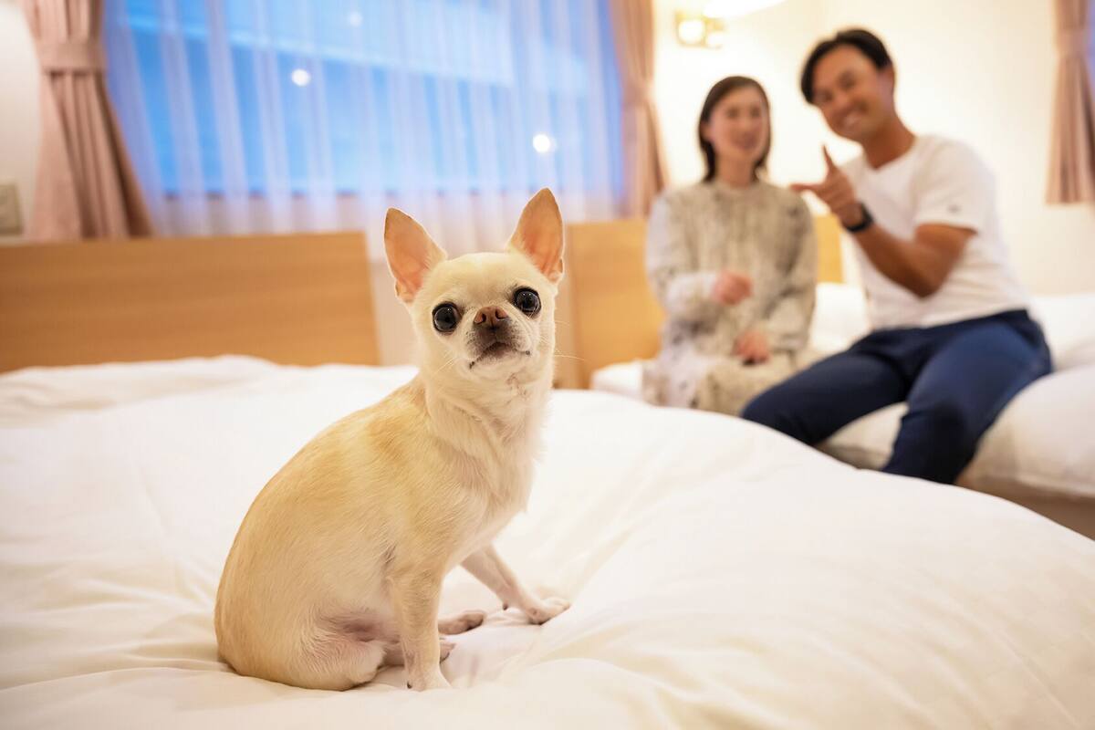객실