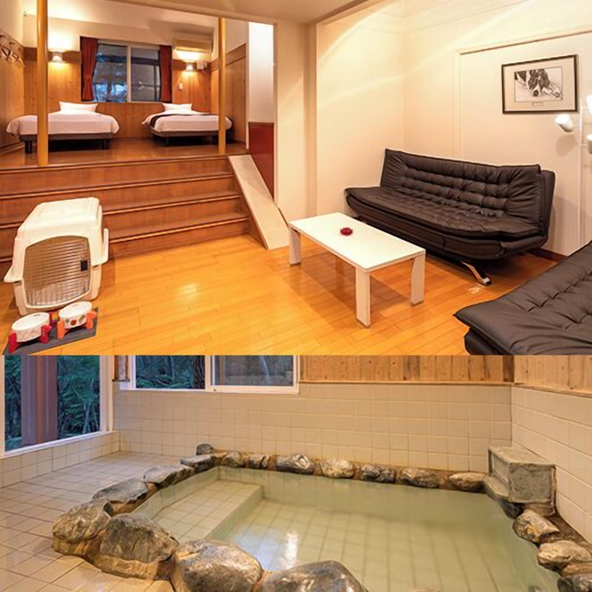 A room with a bed, a sofa, a small table, and a pet carrier.