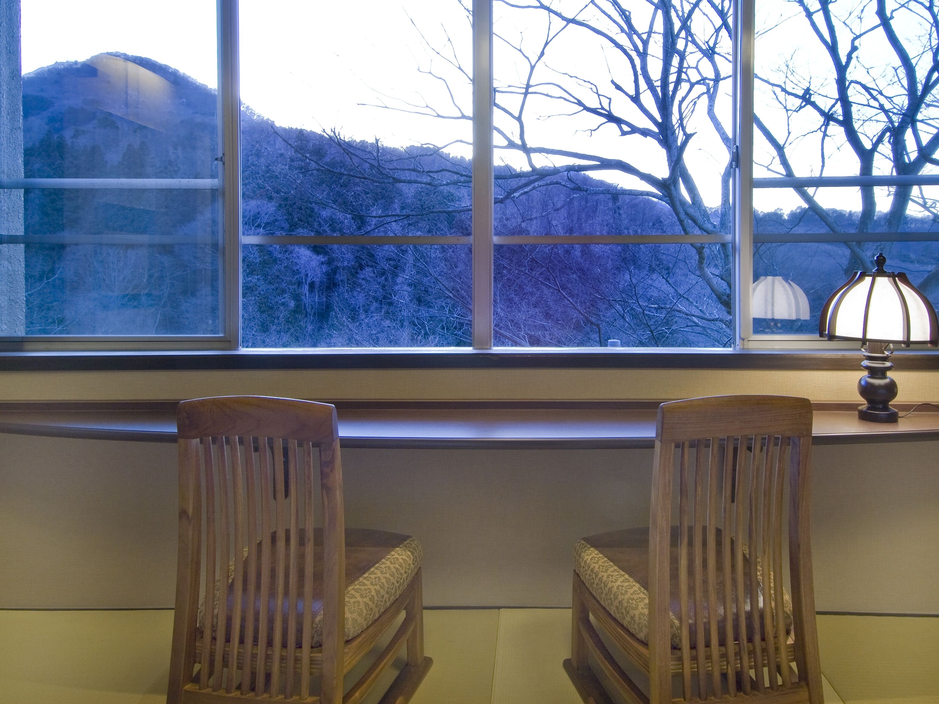 A room with two wooden chairs facing a large window overlooking a forested area.
