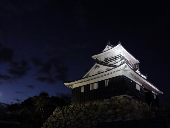 A traditional Japanese castle with a stone base and multiple tiers, illuminated at night.