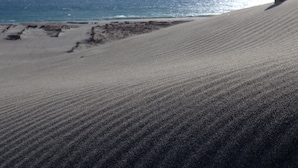 A sandy beach with gentle dunes and a clear view of the ocean. - Hamamatsu Station Hotel (Hamamatsu)