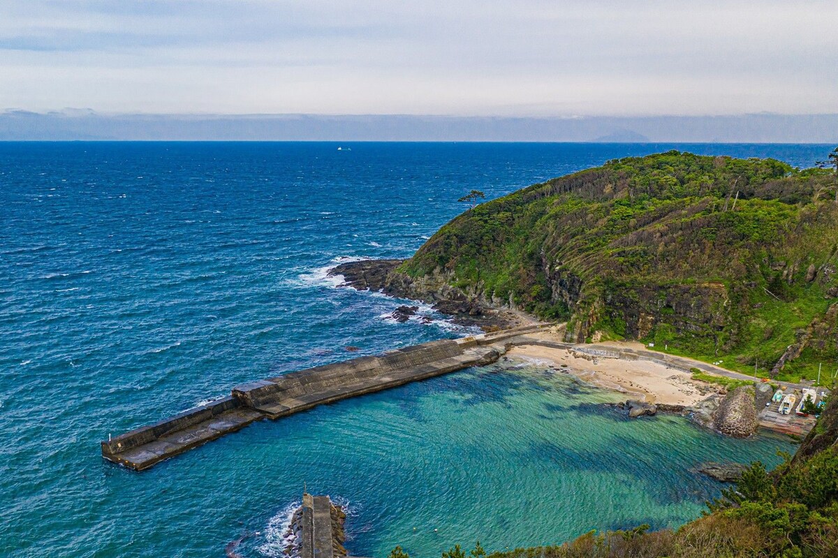 Un paisaje costero con un muelle que se adentra en el mar, rodeado de abundante vegetación y aguas azules cristalinas.