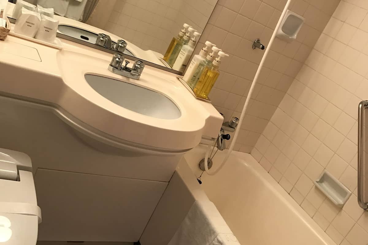 combined shower/bathtub, deep-soaking bathtub, hair dryer, slippers