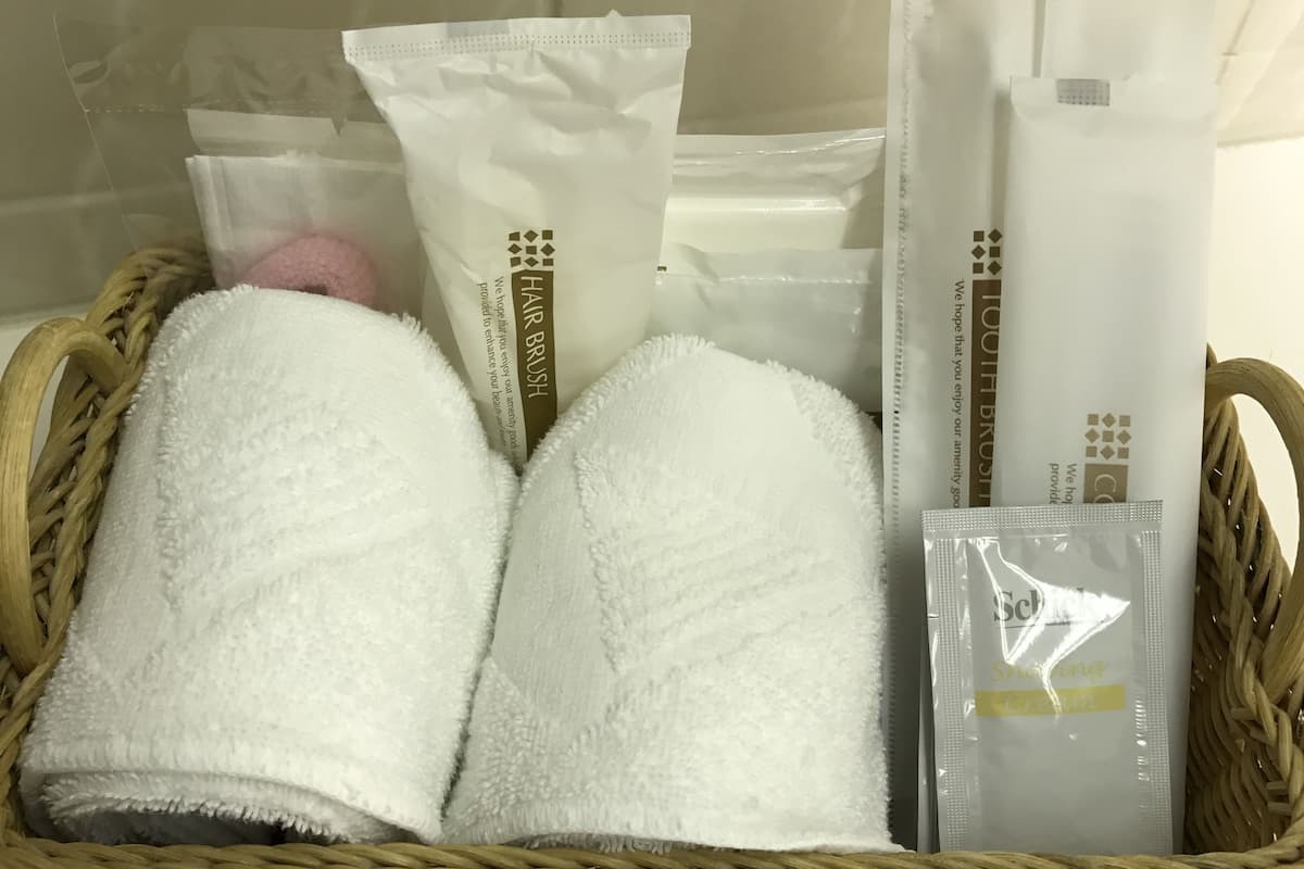 combined shower/bathtub, deep-soaking bathtub, hair dryer, slippers