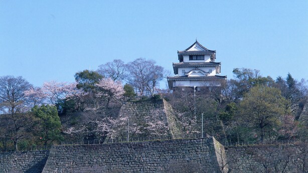 Un castillo japonés tradicional con tejados escalonados, rodeado de cerezos en flor y un muro de piedra.
