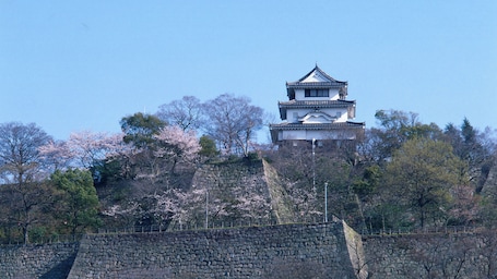 A traditional Japanese castle with a multi-tiered roof, surrounded by cherry blossom trees and a stone wall.