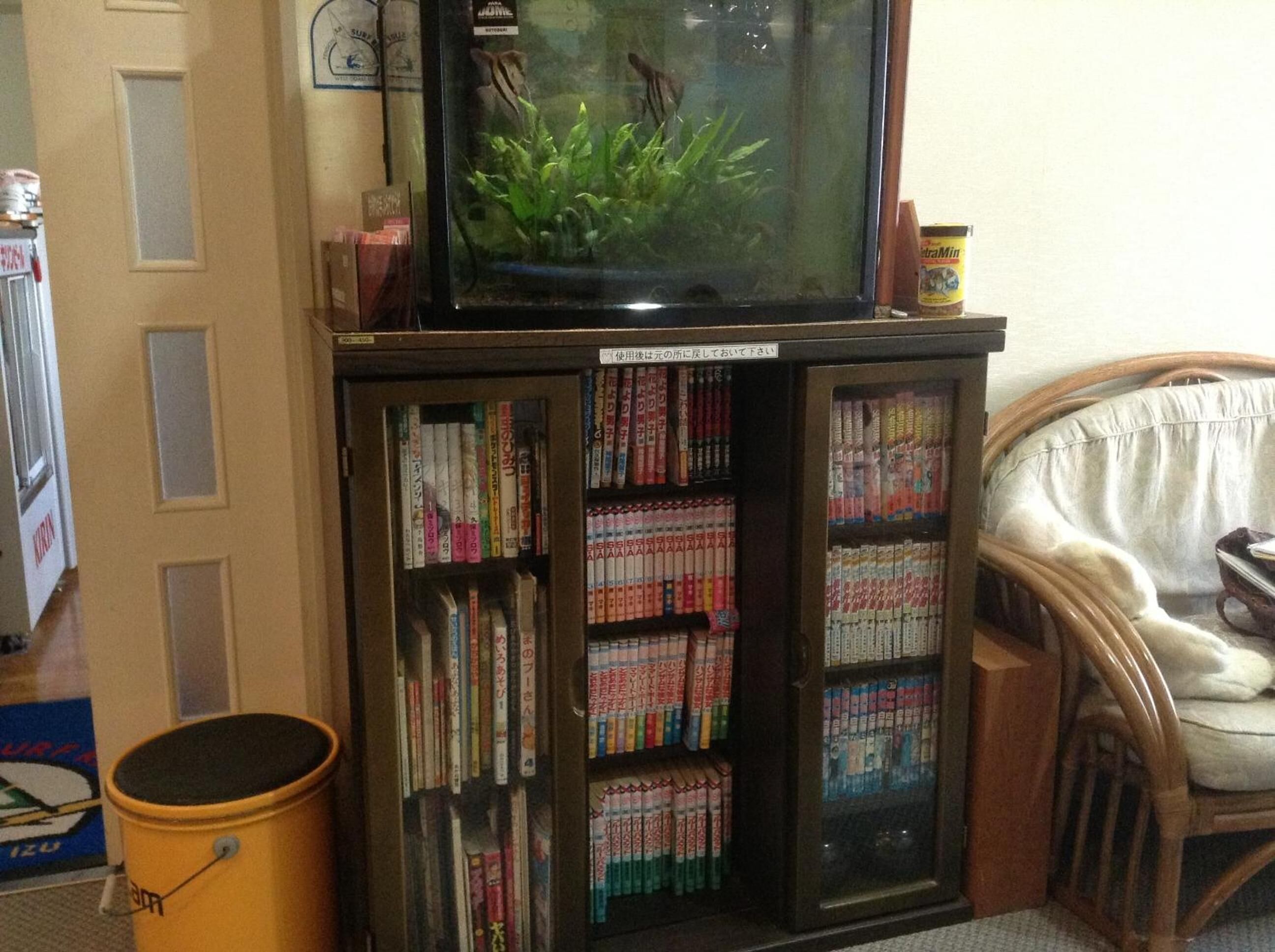 A room with a television on a stand, a bookshelf filled with books, a small trash bin, and a wicker chair.
