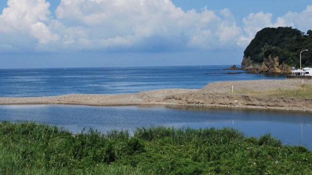 A coastal landscape with a clear sky, calm sea, and a rocky outcrop with vegetation. - Seaside Resort Pension Surfrider (Nishiizu)
