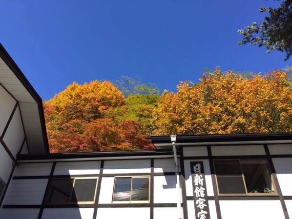 Exterior detail - Nisshinkan (Kusatsu)