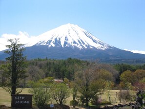 المنطقة المحيطة بالمنشأة