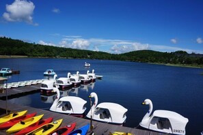 Un lago tranquilo con barcas con forma de cisne amarradas al muelle.