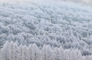 Imagen general