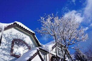 Un edificio con tejado y ventanas cubiertas de nieve, rodeado de árboles con ramas nevadas.
