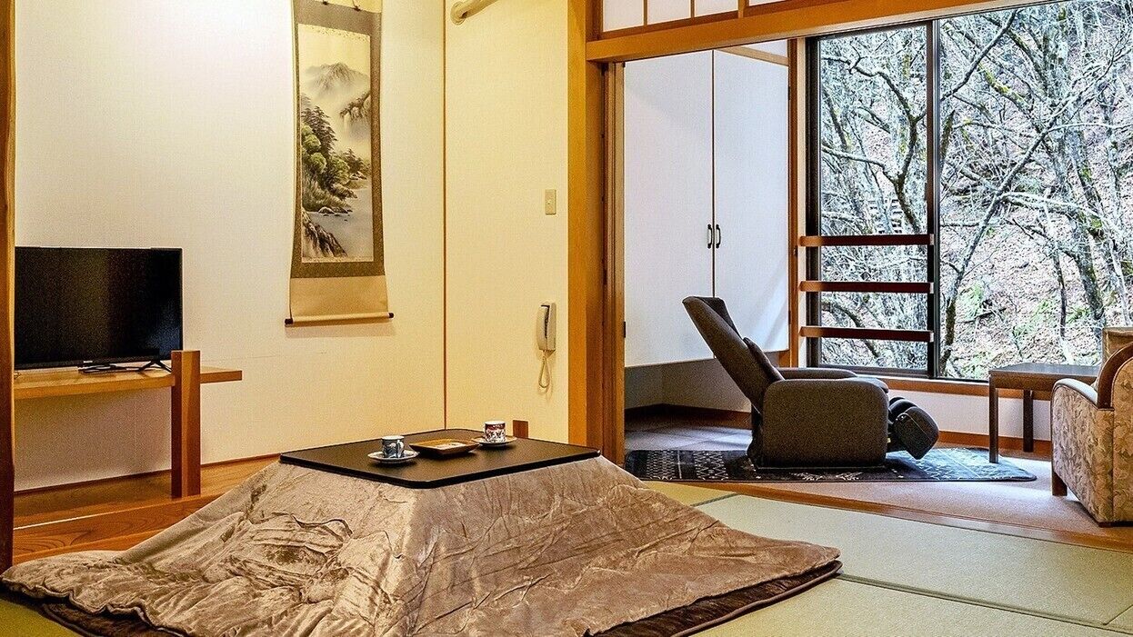 Een traditionele Japanse kamer met tatami vloer, een televisie, een schuifdeur met uitzicht op bomen en een lage tafel met kop en schotel.