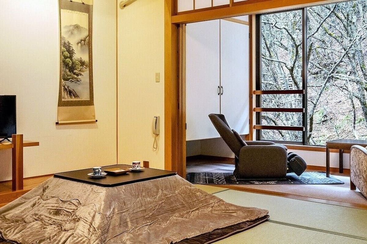 Een traditionele Japanse kamer met tatami vloer, een televisie, een schuifdeur met uitzicht op bomen en een lage tafel met kop en schotel.