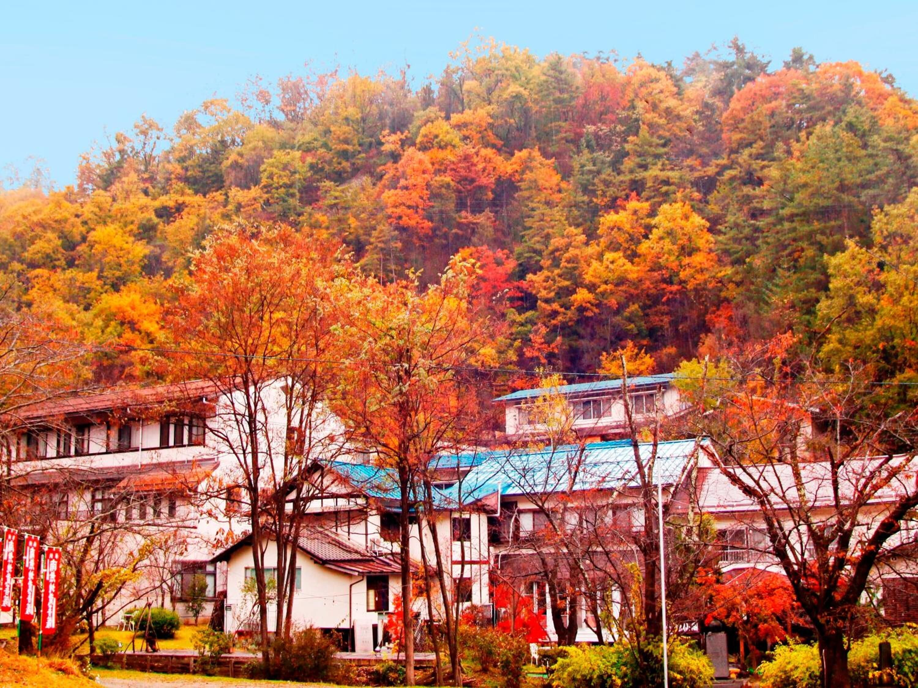 A traditional Japanese-style building with a tiled roof, surrounded by autumn foliage.