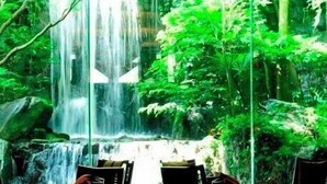 A waterfall in a lush green forest setting with outdoor seating. - Konaya Hotel (Kofu)