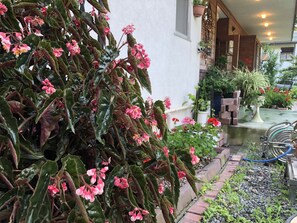 庭園