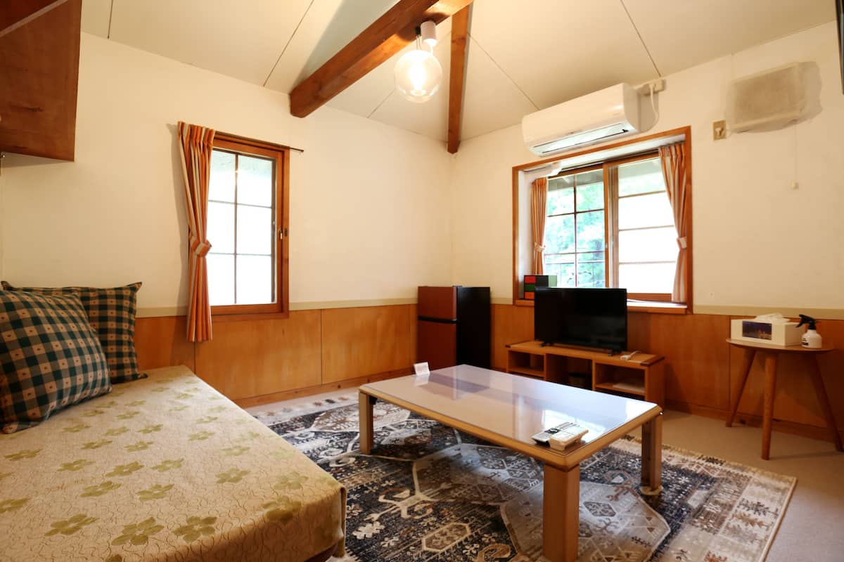A room with a bed, a sofa, a TV, a table, and two windows with curtains.
