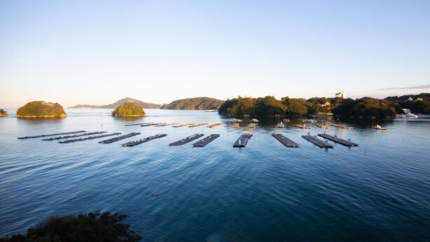A waterfront area with multiple piers extending into the water, surrounded by hills and trees. - Toba Grand Hotel (Toba)
