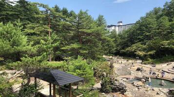 A natural setting with a wooden gazebo, a rocky area with a pool, and dense forest.