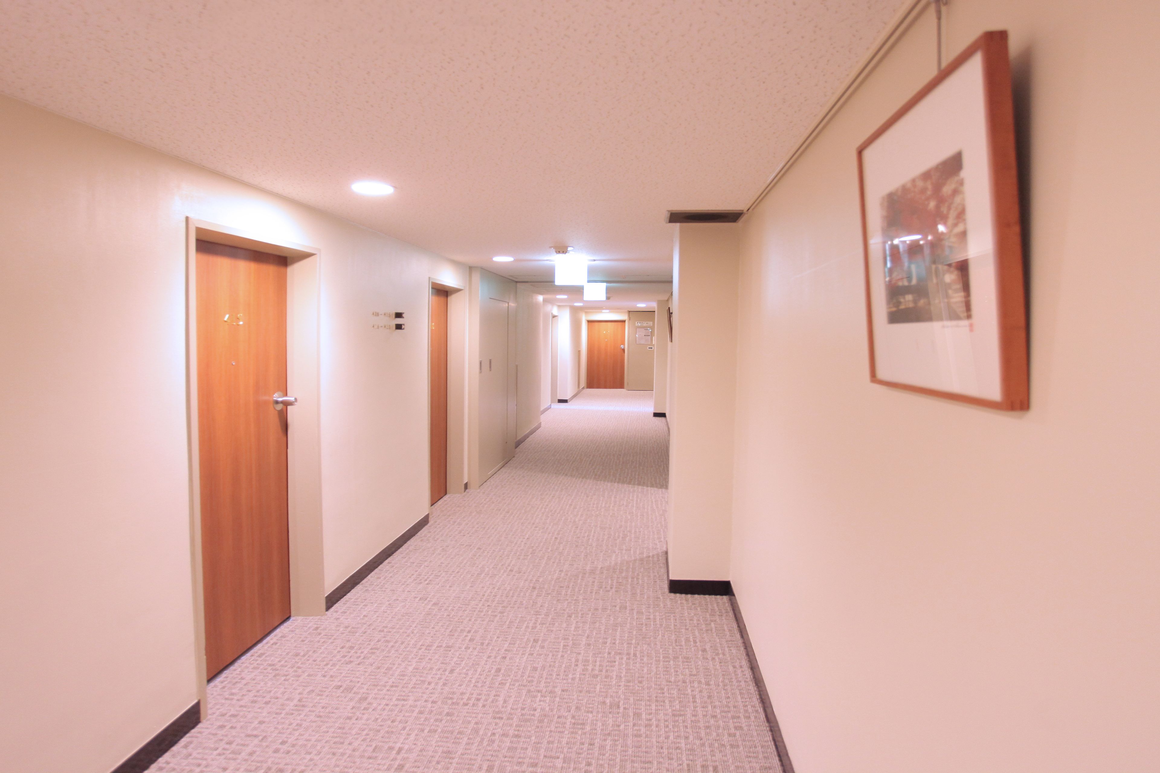 A hotel hallway with carpeted floors, wooden doors, and a framed picture on the wall.
