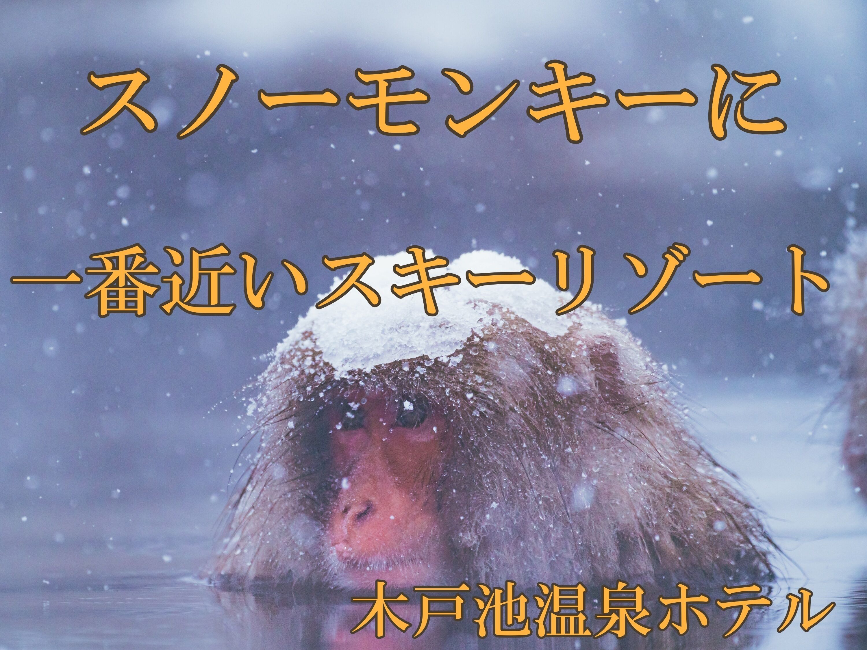 兴趣点