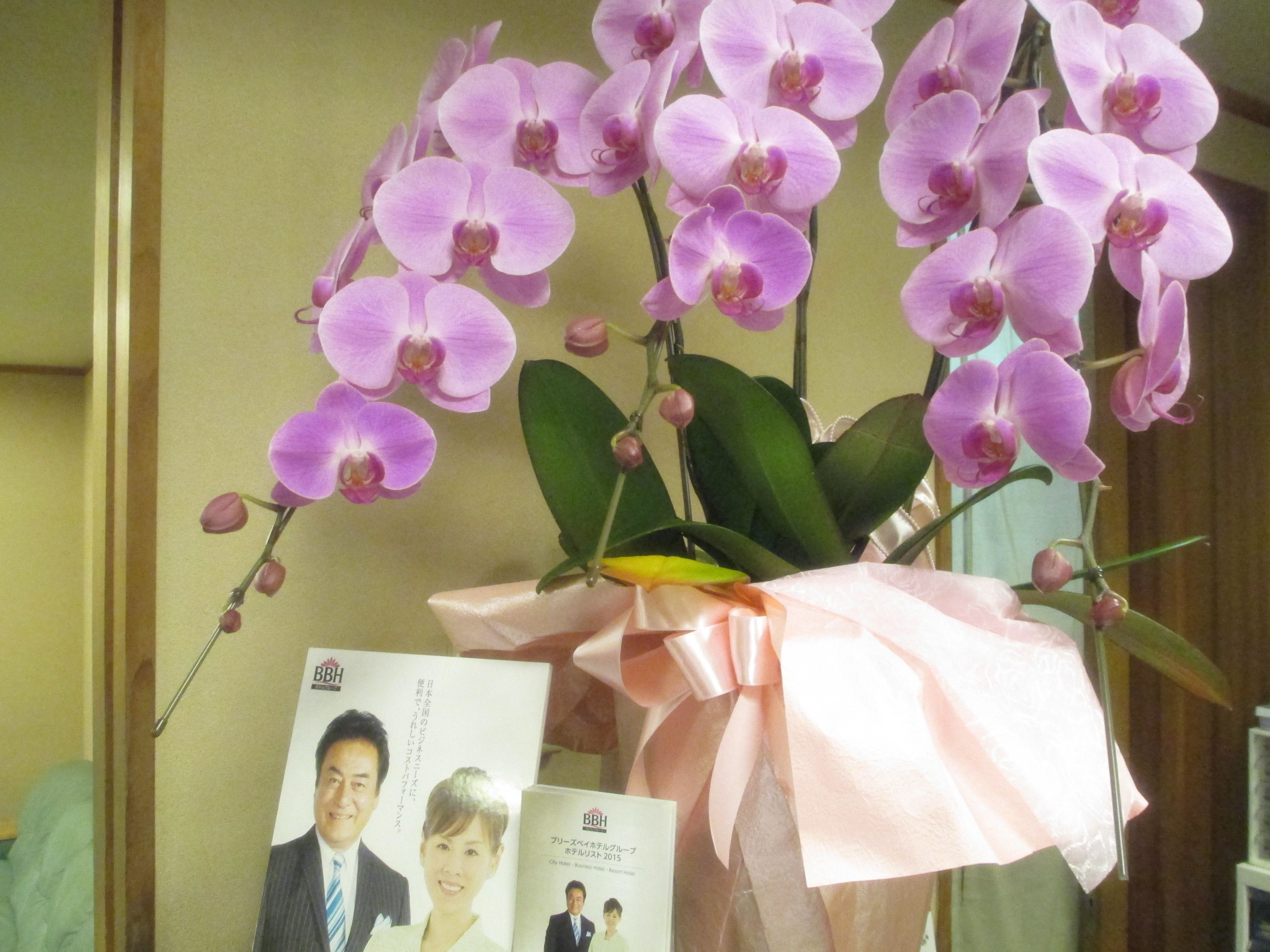 A bouquet of purple orchids in a vase with a pink ribbon, placed next to a framed photograph.