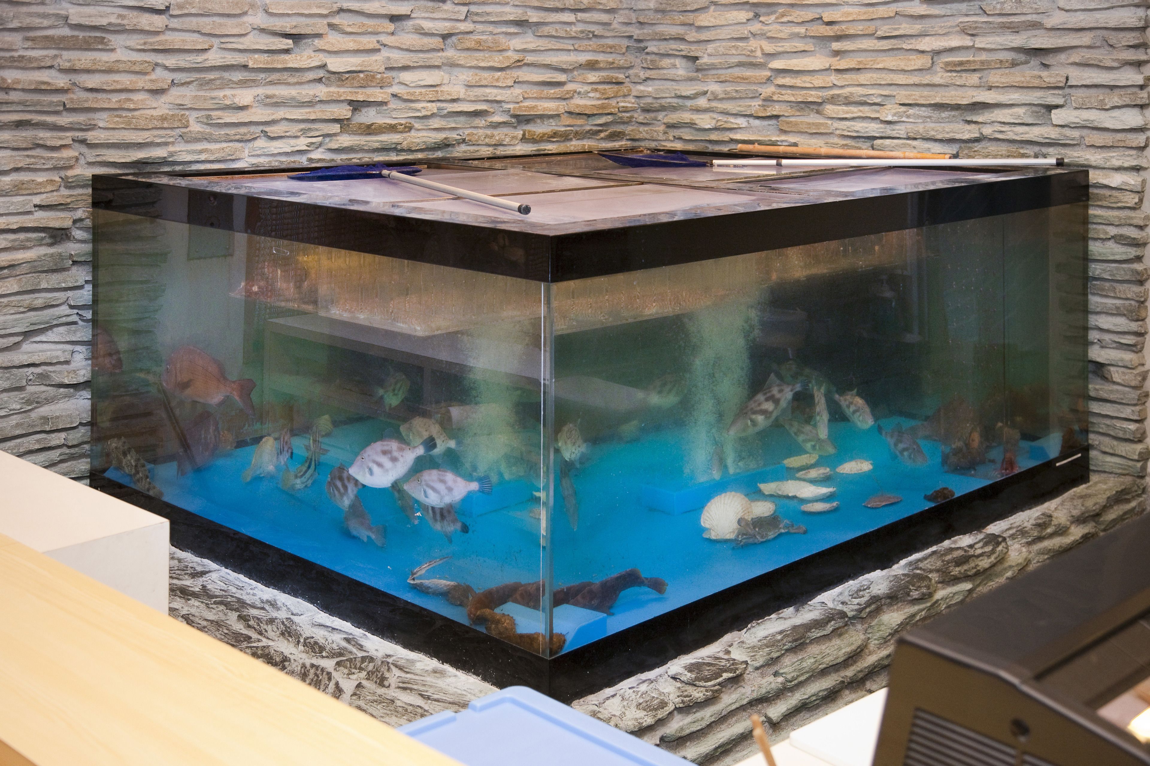 breakfast, lunch, dinner served; local cuisine