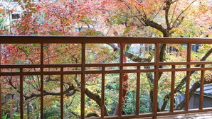 A wooden balcony railing with a view of trees in autumn colors. - Saneatsu No Yado Izumiso (Shizuoka)