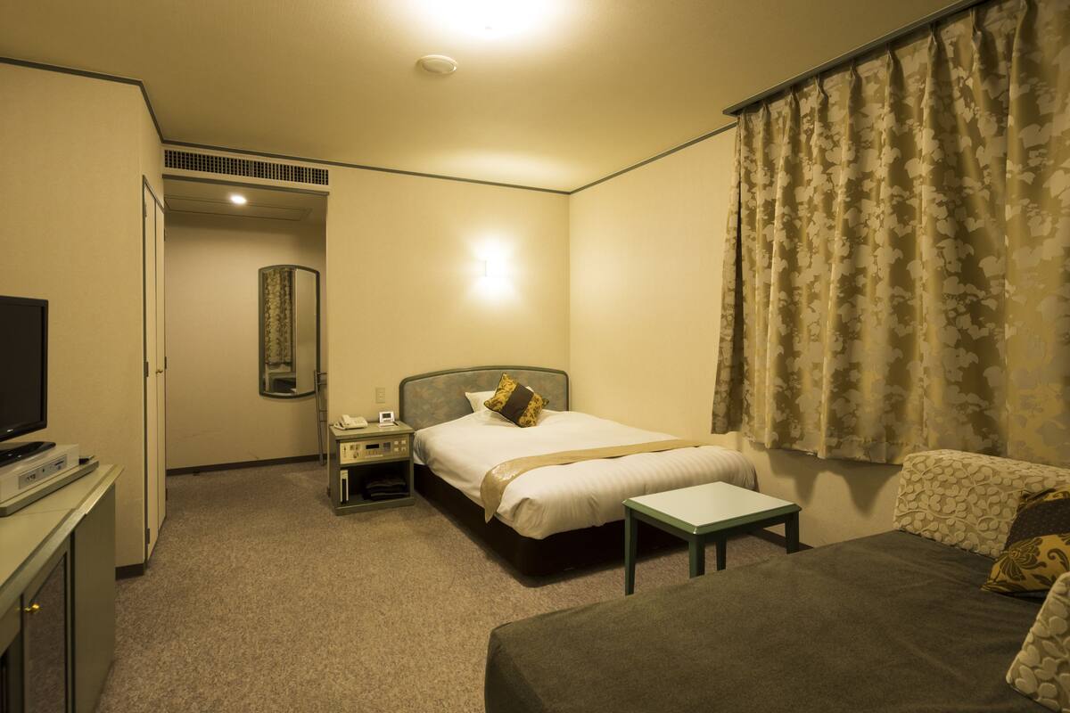 A hotel room with a bed, a desk, a television, and a couch.