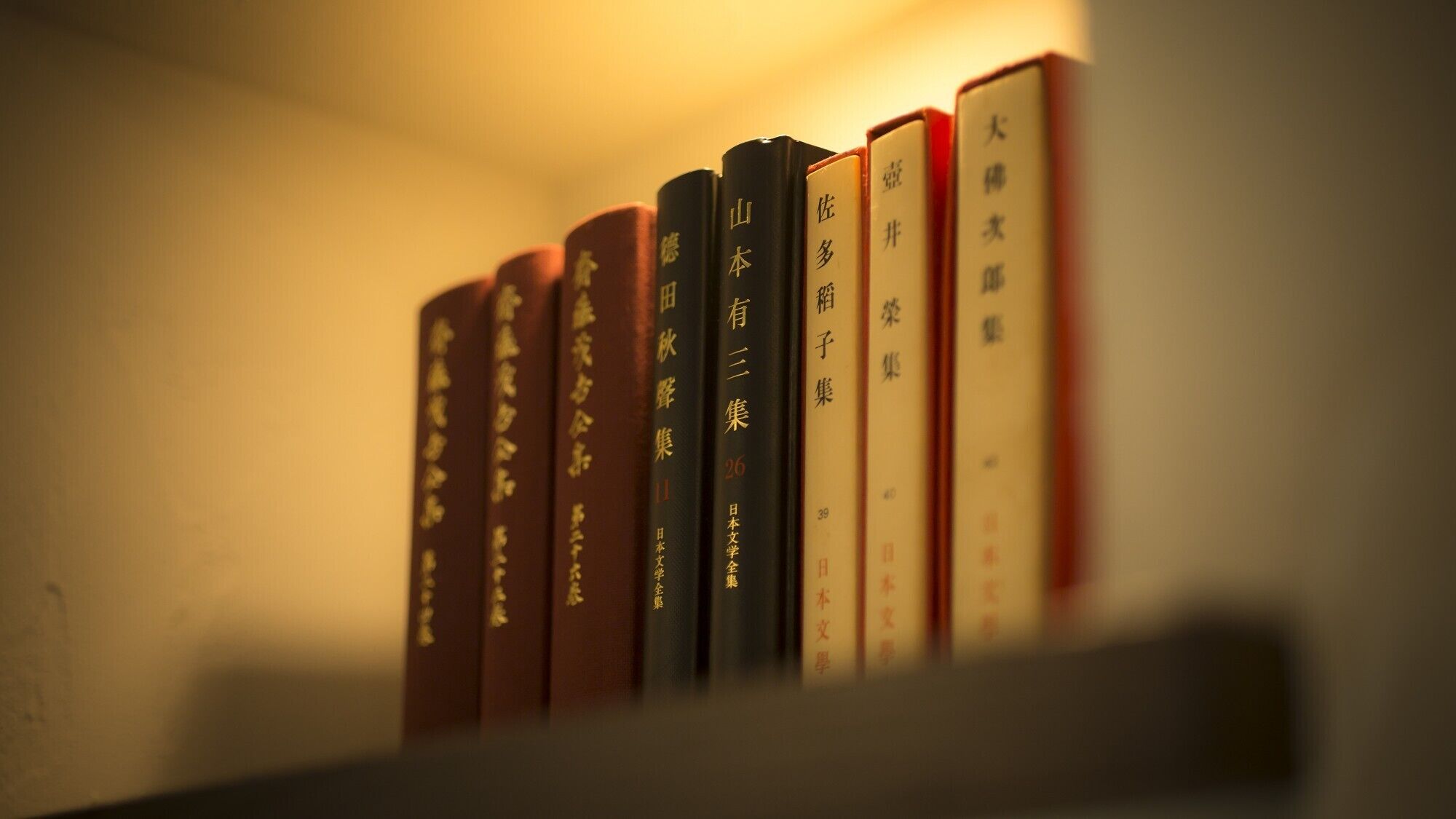 Diversos llibres alineats a una prestatgeria.