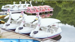 Una hilera de botes con forma de cisne amarrados a un muelle.
