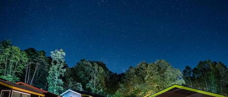 A starry night sky over a small cluster of cabins surrounded by trees.
