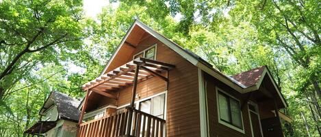 Standard Cottage With Kitchen