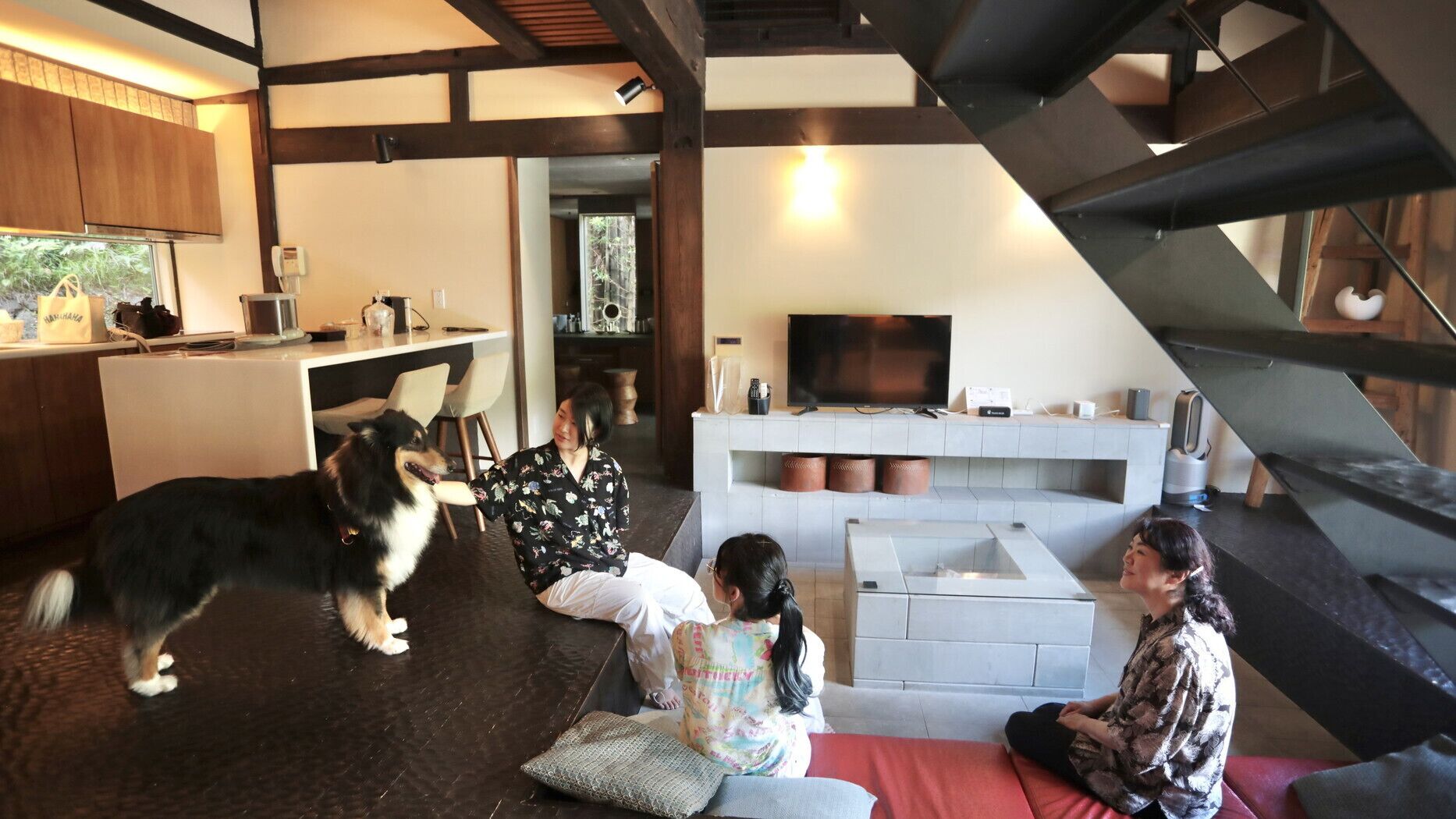 A modern living room with a fireplace, a television, and a dog.
