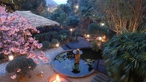 Un jardín con un estanque, una hoguera y una estructura con tejado de paja.