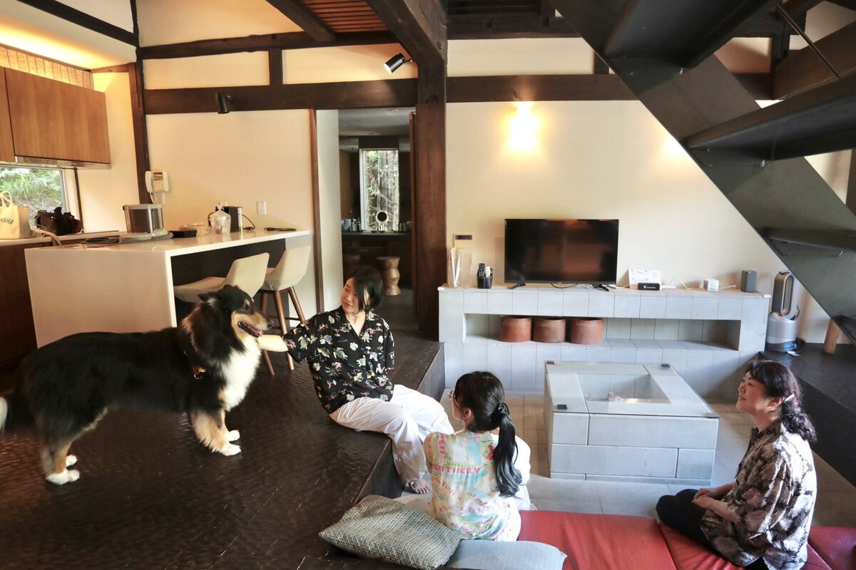 A modern living room with a fireplace, a television, and a dog.