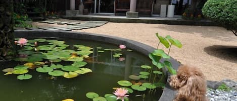 施設の敷地