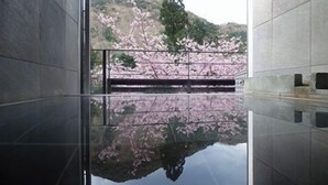 Interior de un edificio moderno con suelo reflectante, barandilla metálica y vistas a flores de cerezo.